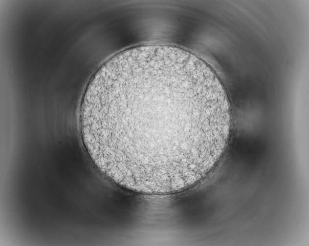 X0000089670856200707201637