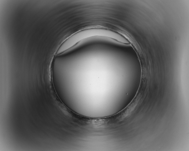 X0000089670858200707201638