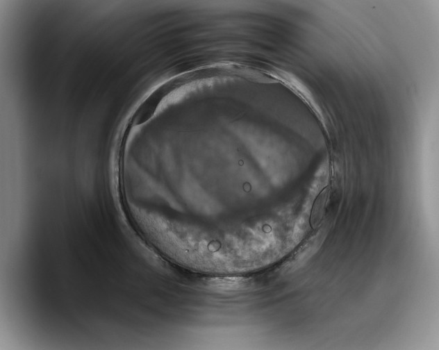 X0000089670859200707201638