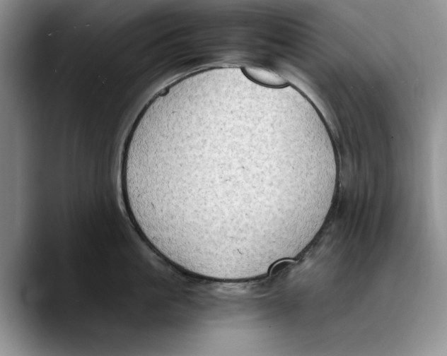 X0000089670861200707201638