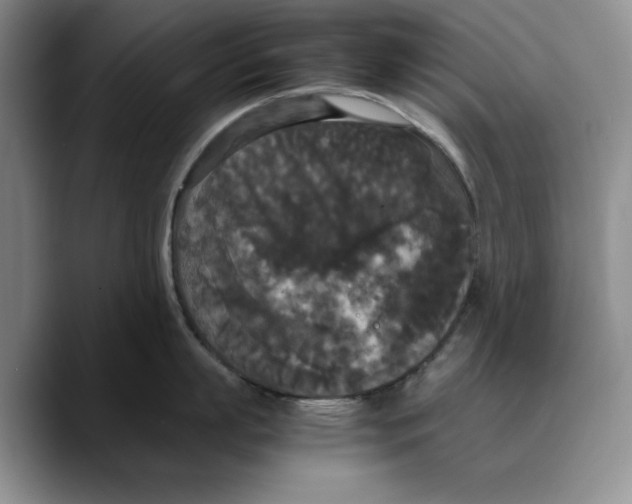 X0000089670863200707201638