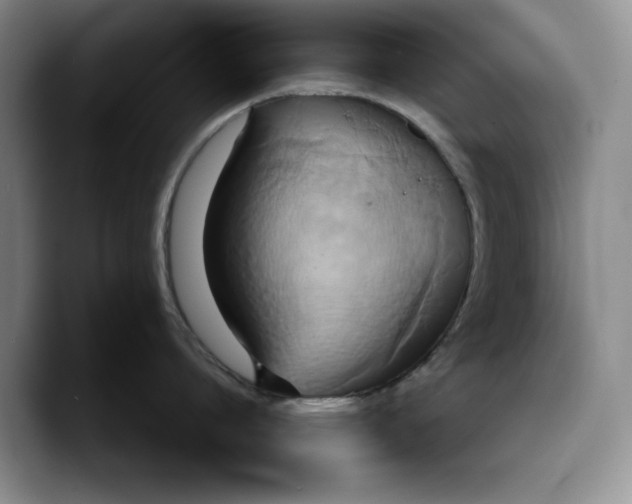 X0000089670864200707201638
