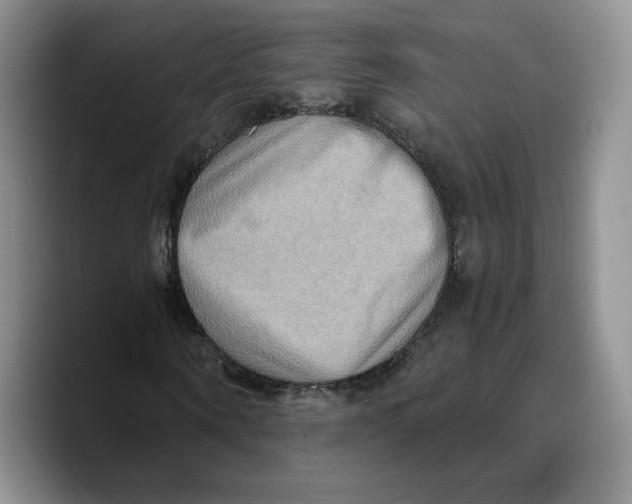 X0000089670866200707201637