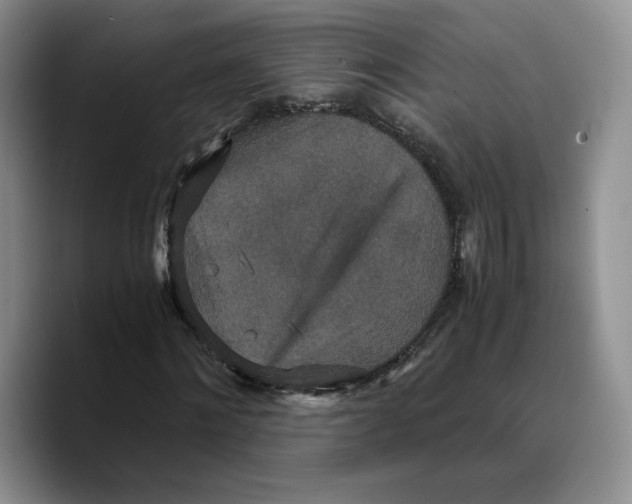 X0000089670868200707201637