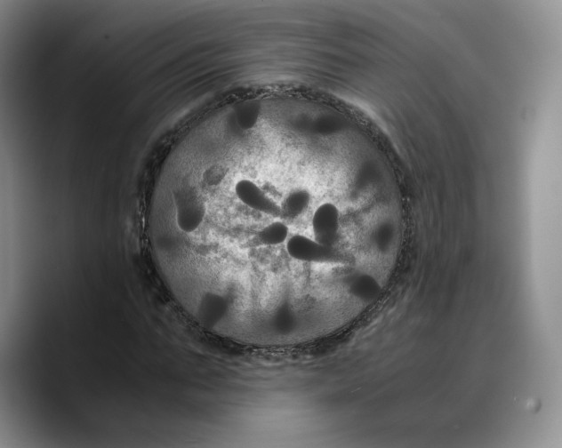 X0000089670871200707201637