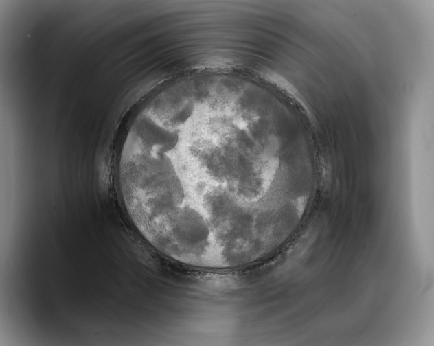 X0000089670874200707201637