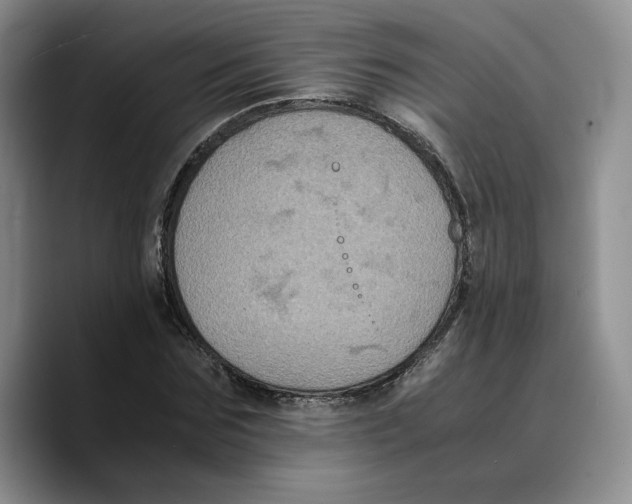 X0000089670875200707201637