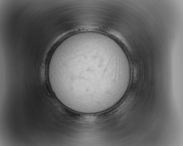 X0000089670878200707201637