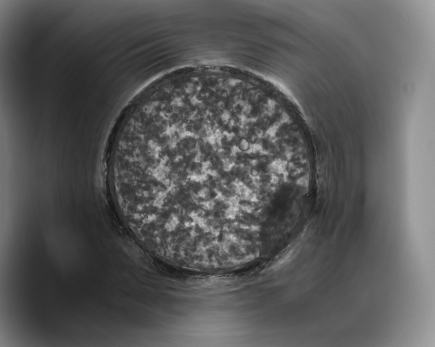 X0000089670879200707201637