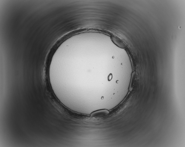 X0000089670880200707201637