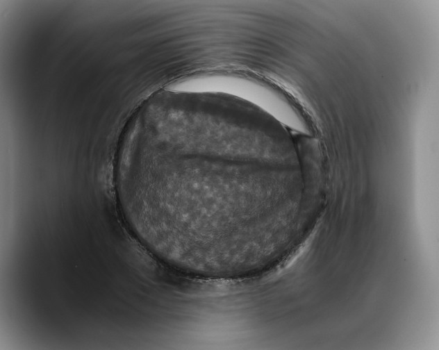 X0000089670881200707201637