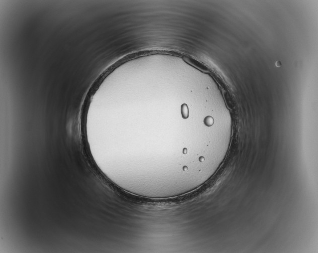 X0000089670884200707201637