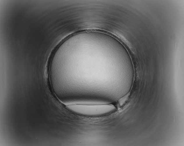 X0000089670885200707201637