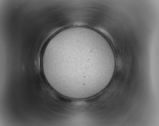 X0000089670886200707201637