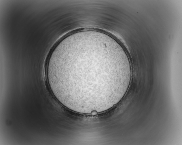 X0000089670887200707201637