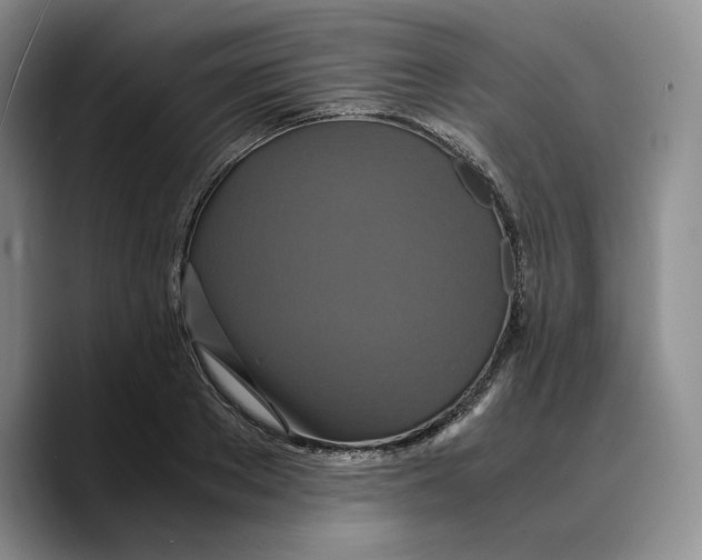 X0000089670889200707201637