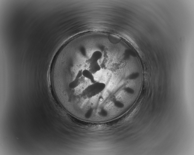 X0000089670891200707201637