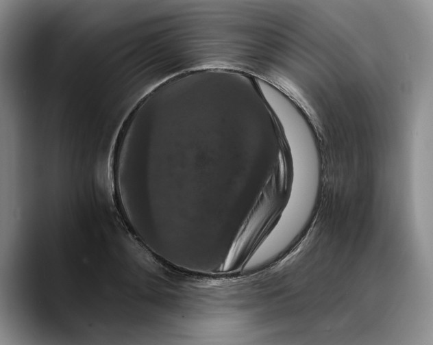 X0000089670892200707201637
