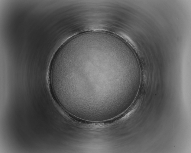 X0000089670893200707201637
