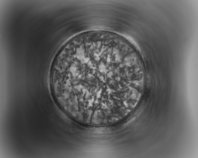 X0000089670895200707201637