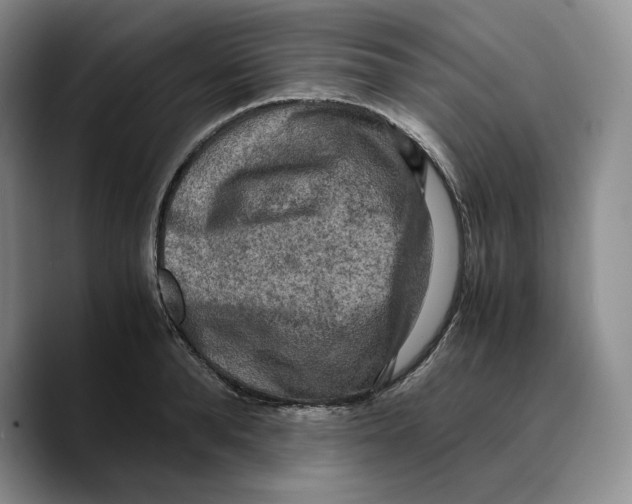 X0000089670896200707201637