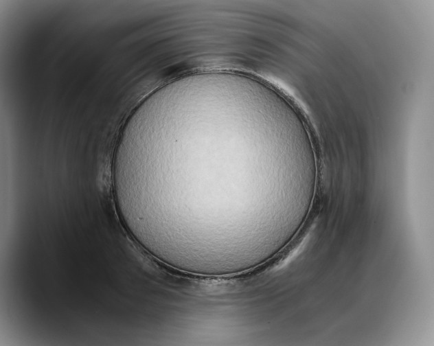 X0000089670897200707201637