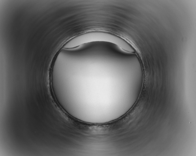 X0000089670898200707201637