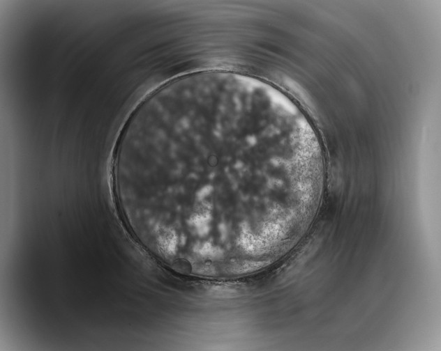 X0000089670899200707201637
