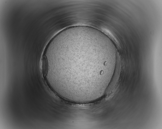 X0000089670900200707201637