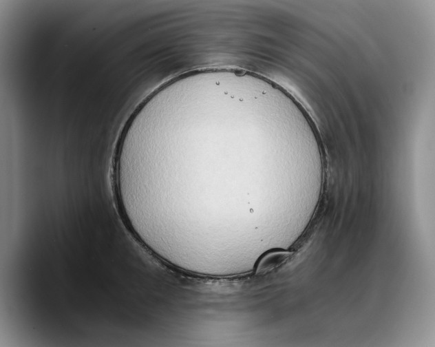 X0000089670901200707201636