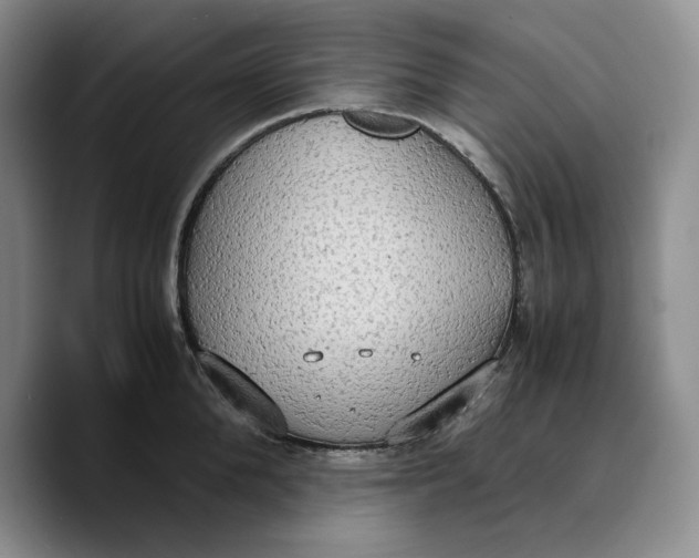 X0000089670904200707201636