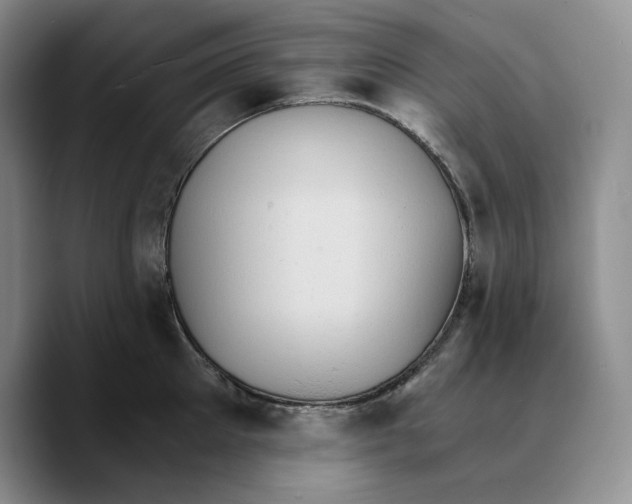 X0000089670905200707201636