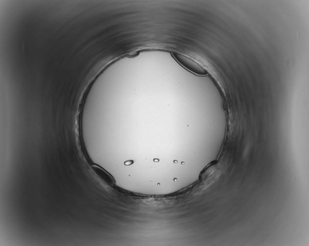 X0000089670906200707201636