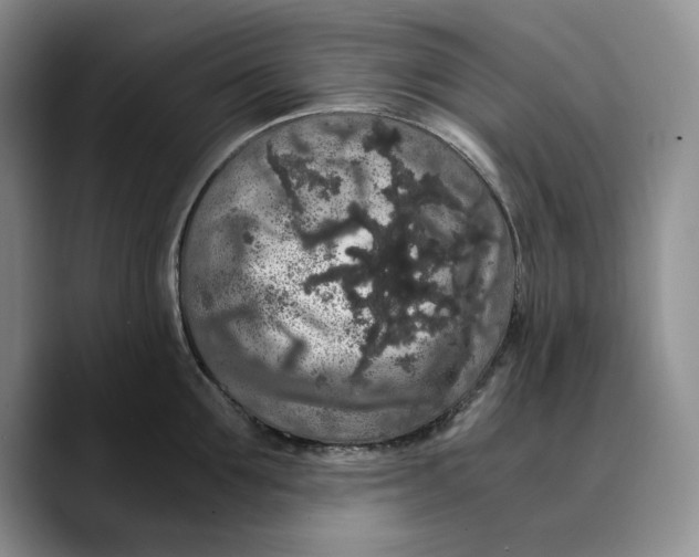 X0000089670907200707201636