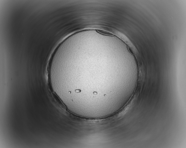 X0000089670908200707201636