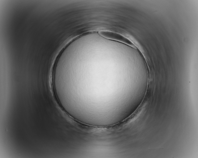 X0000089670909200707201636