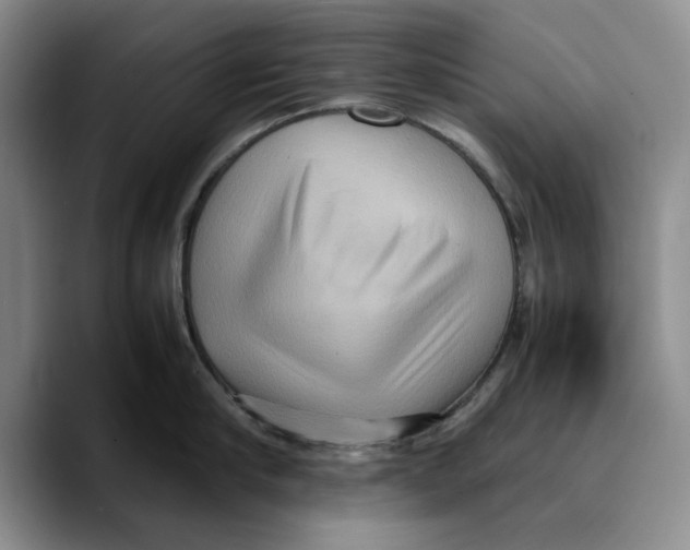 X0000089670910200707201636