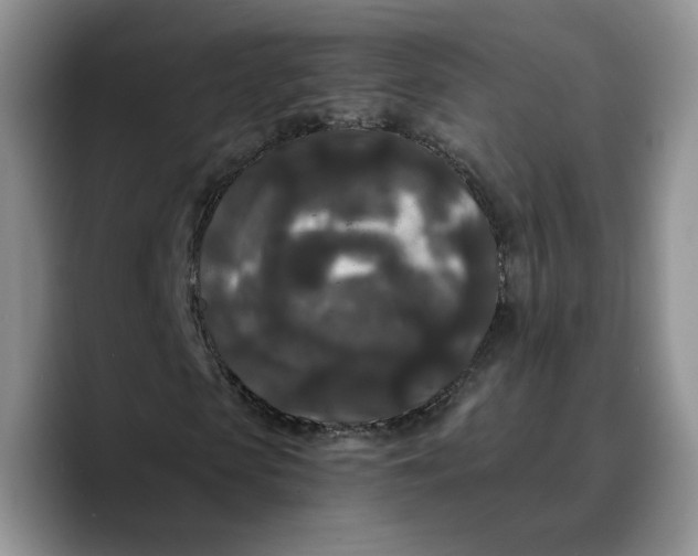 X0000089670913200707201636
