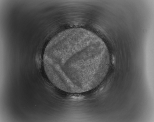 X0000089670915200707201636