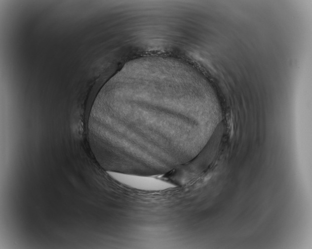 X0000089670916200707201636