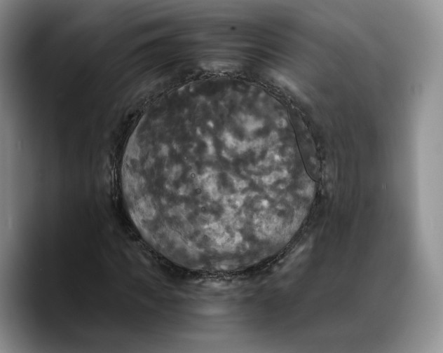 X0000089670917200707201636