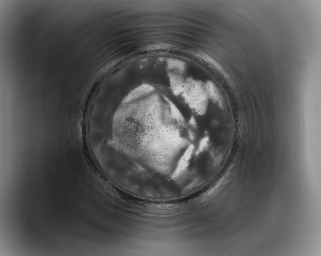 X0000089670921200707201636