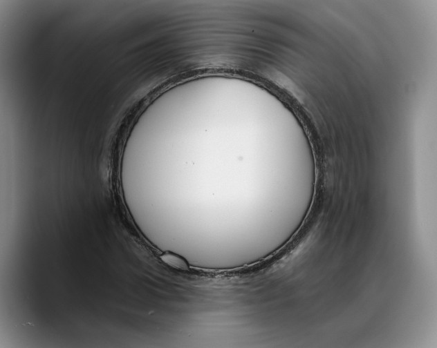 X0000089670922200707201636