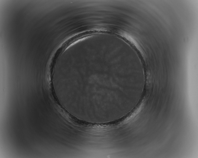 X0000089670923200707201636