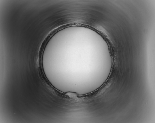 X0000089670924200707201636