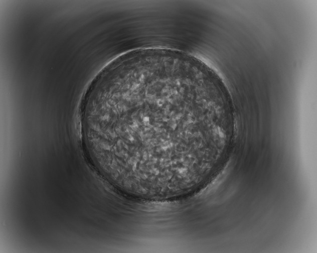 X0000089670925200707201636