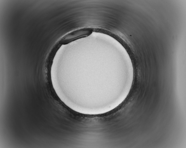 X0000089670926200707201636