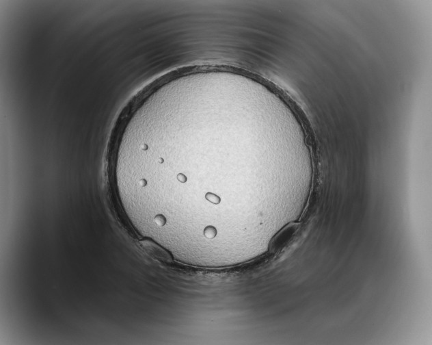 X0000089670928200707201636