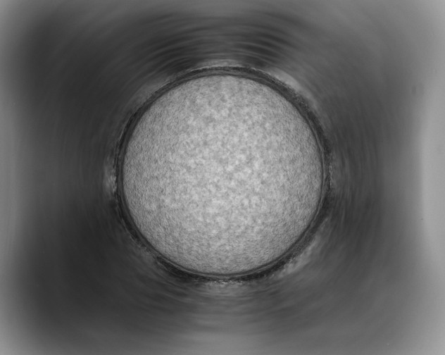 X0000089670929200707201636