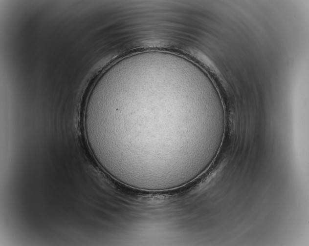 X0000089670930200707201636